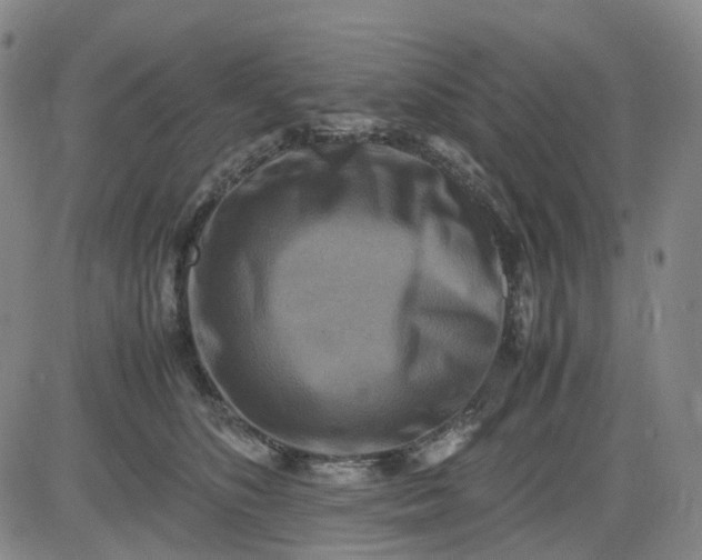 X0000083560516200702231607