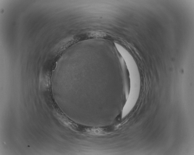 X0000083560517200702231607