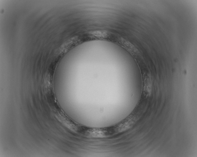 X0000083560518200702231607