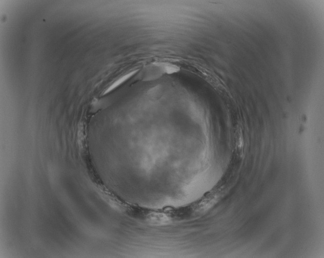 X0000083560519200702231607