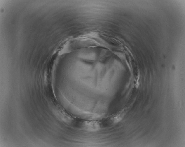 X0000083560520200702231607