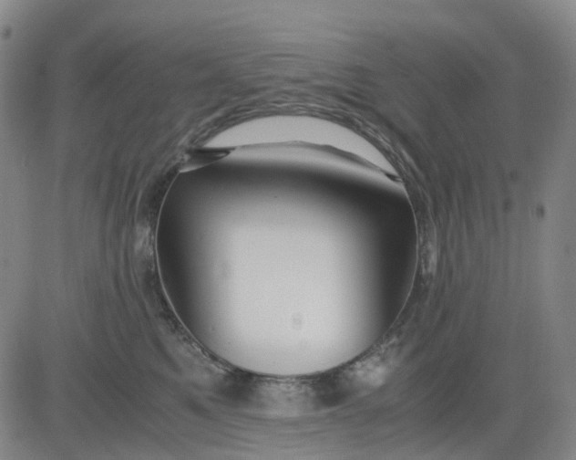 X0000083560521200702231607