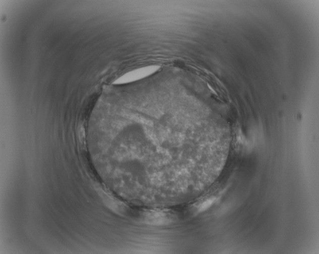 X0000083560523200702231607