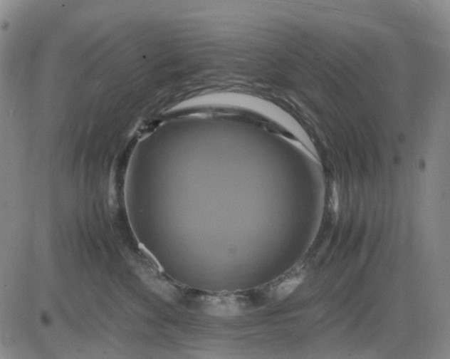 X0000083560524200702231607