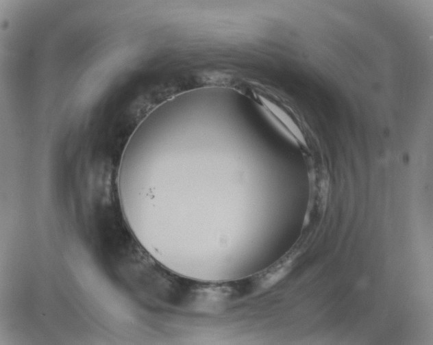 X0000083560525200702231607