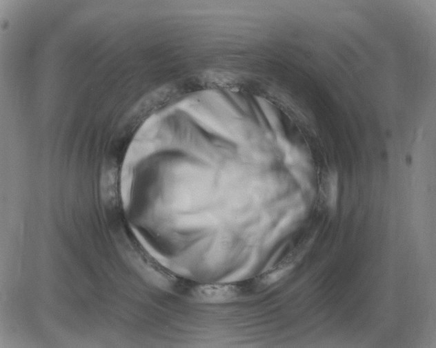 X0000083560526200702231607