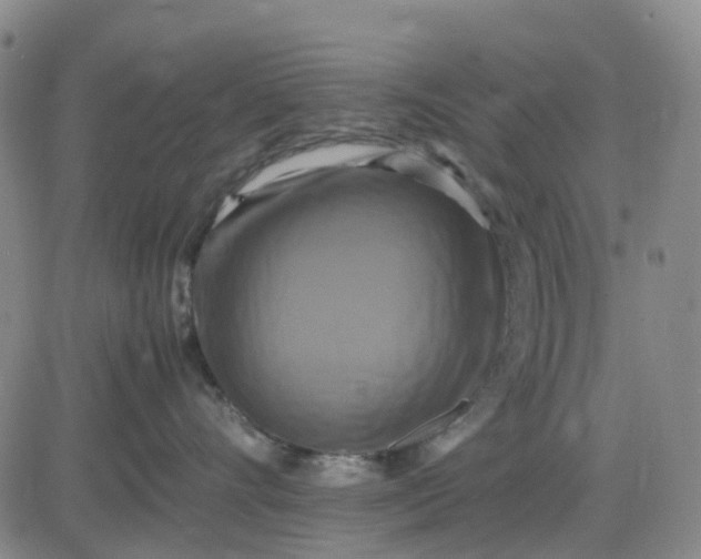 X0000083560528200702231607