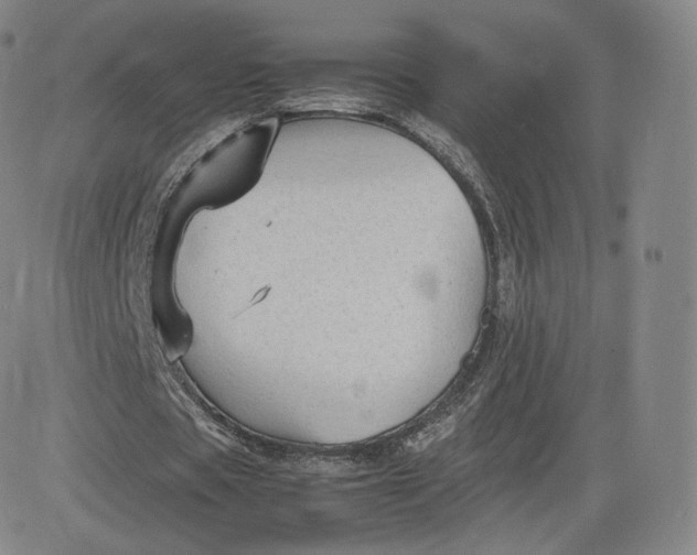 X0000083560529200702231606