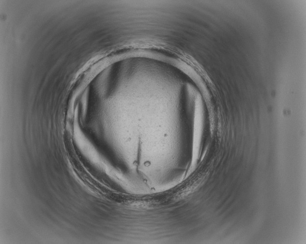 X0000083560530200702231606