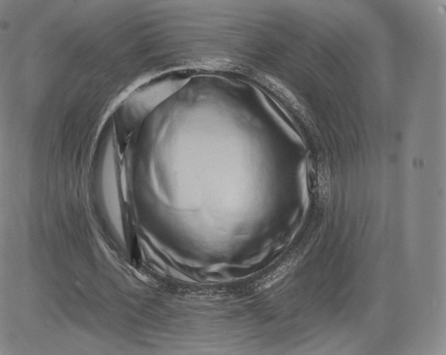 X0000083560532200702231606