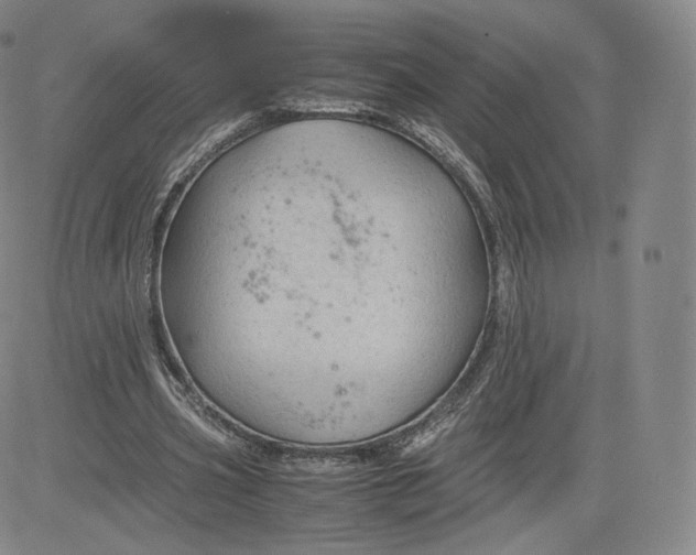 X0000083560533200702231606