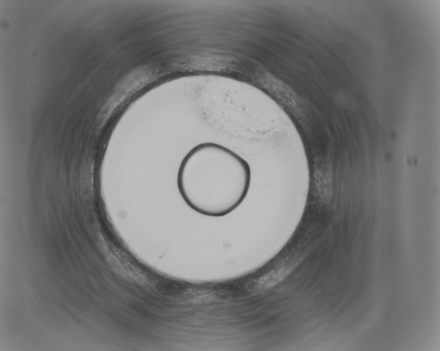 X0000083560534200702231606