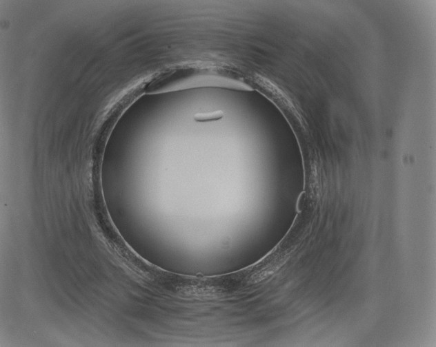 X0000083560535200702231606