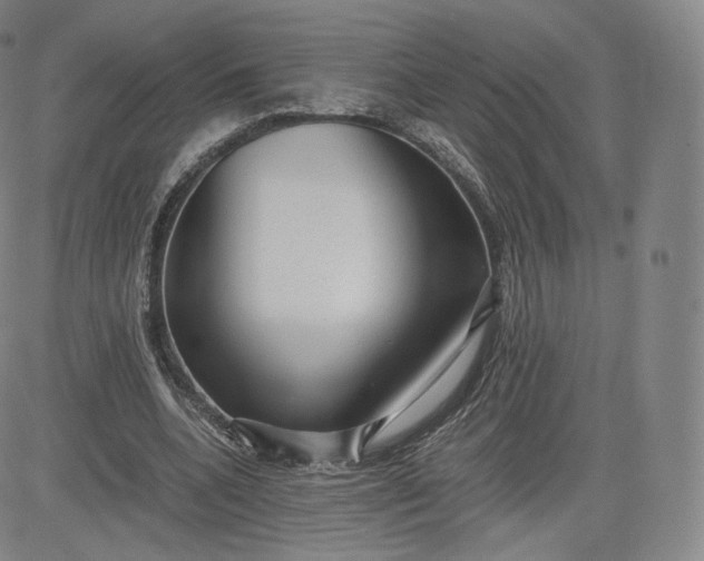 X0000083560536200702231606