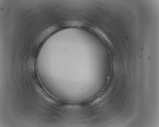 X0000083560537200702231606