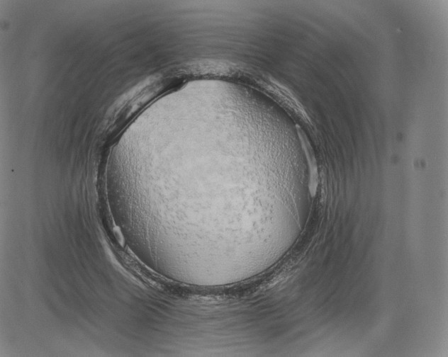 X0000083560538200702231606