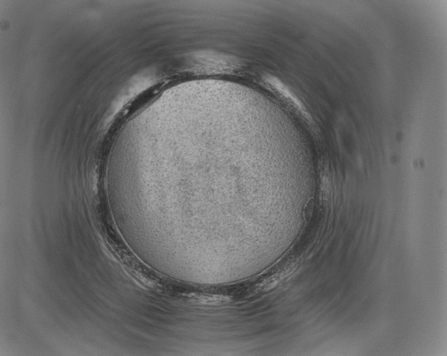 X0000083560539200702231606