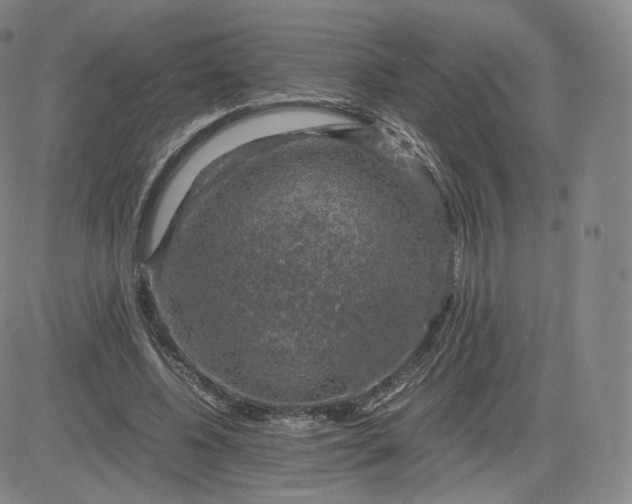 X0000083560540200702231606