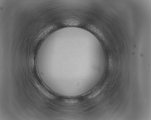 X0000083560541200702231606