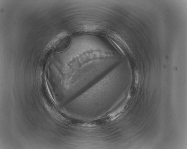 X0000083560542200702231606