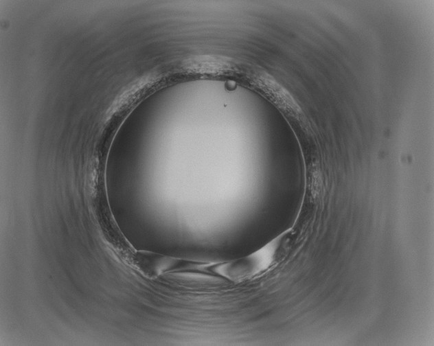 X0000083560544200702231606