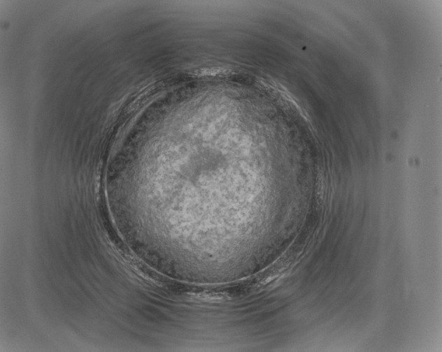 X0000083560545200702231606