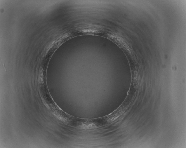 X0000083560547200702231606