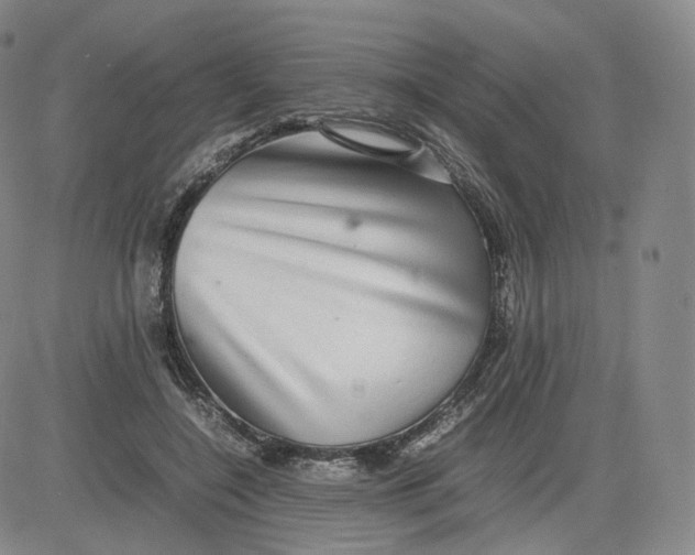 X0000083560548200702231606