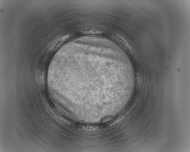 X0000083560549200702231606