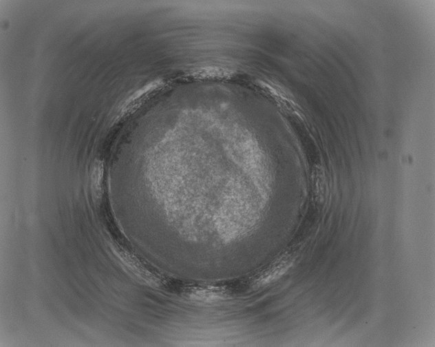 X0000083560550200702231606