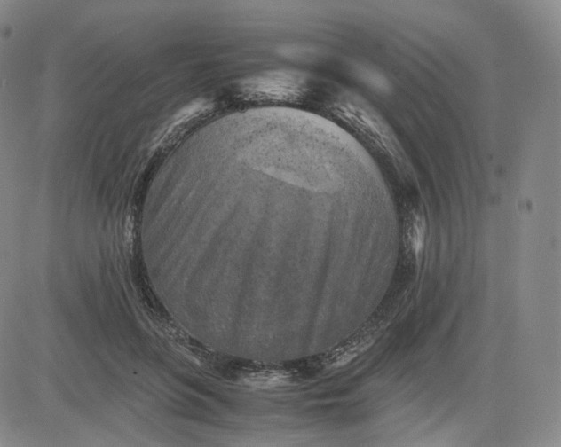 X0000083560551200702231606