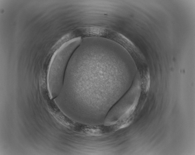 X0000083560552200702231606