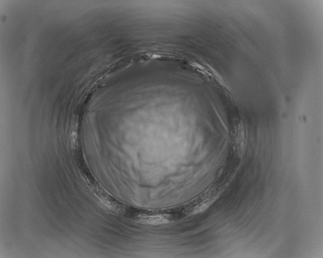 X0000083560553200702231606