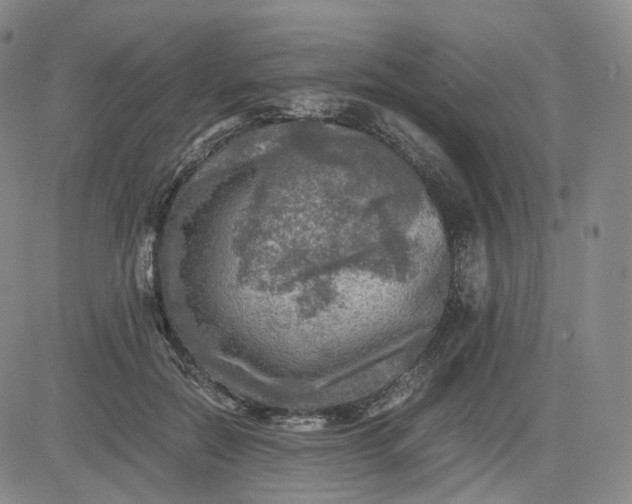 X0000083560554200702231606