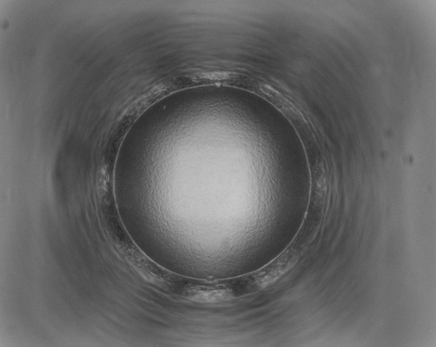 X0000083560555200702231606