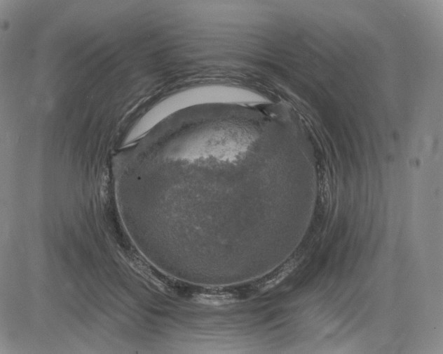 X0000083560556200702231606