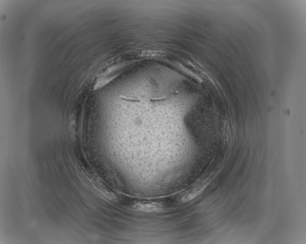 X0000083560557200702231606