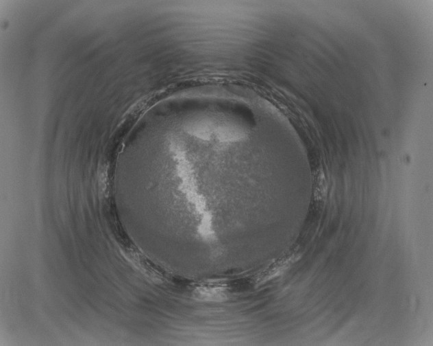 X0000083560560200702231607