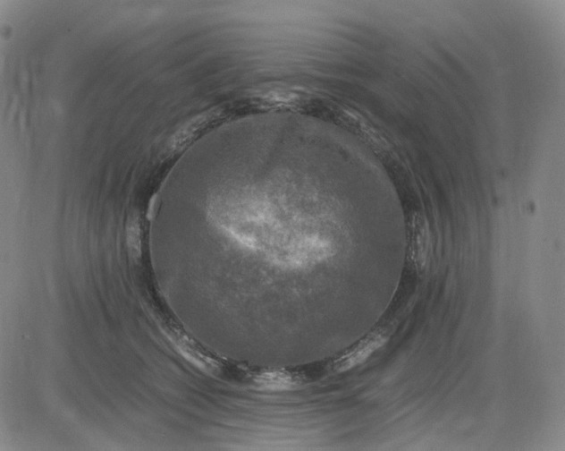 X0000083560562200702231607