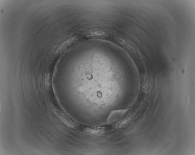 X0000083560563200702231607