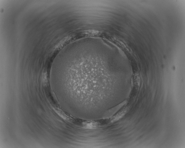 X0000083560564200702231607