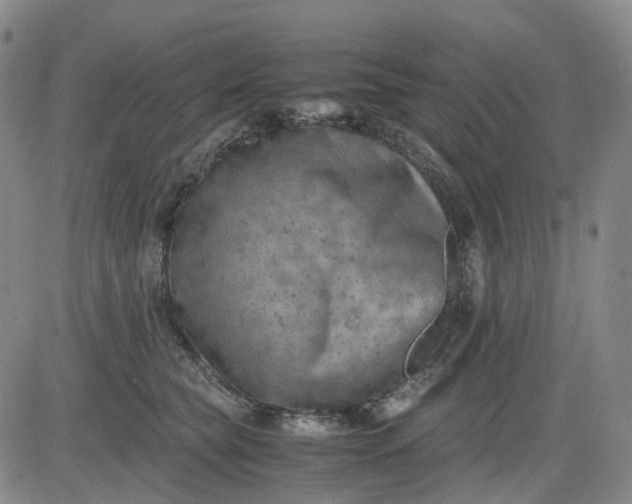 X0000083560565200702231607