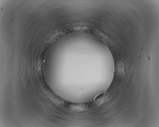 X0000083560567200702231607