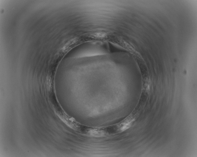 X0000083560568200702231607