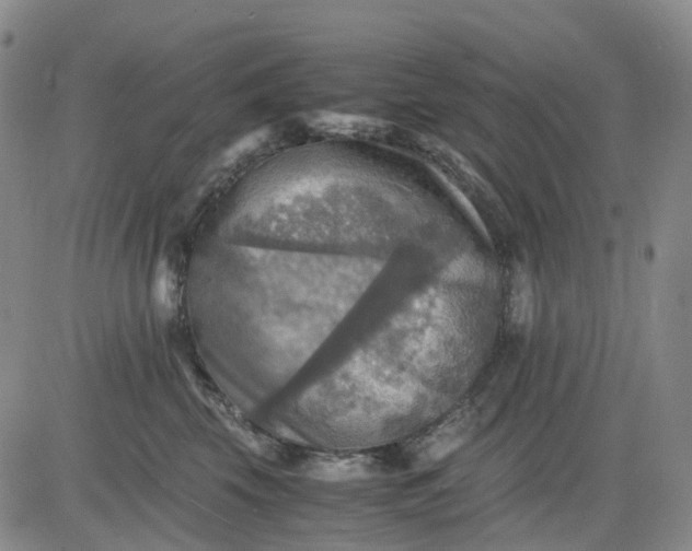 X0000083560569200702231607