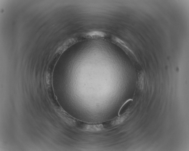 X0000083560571200702231607