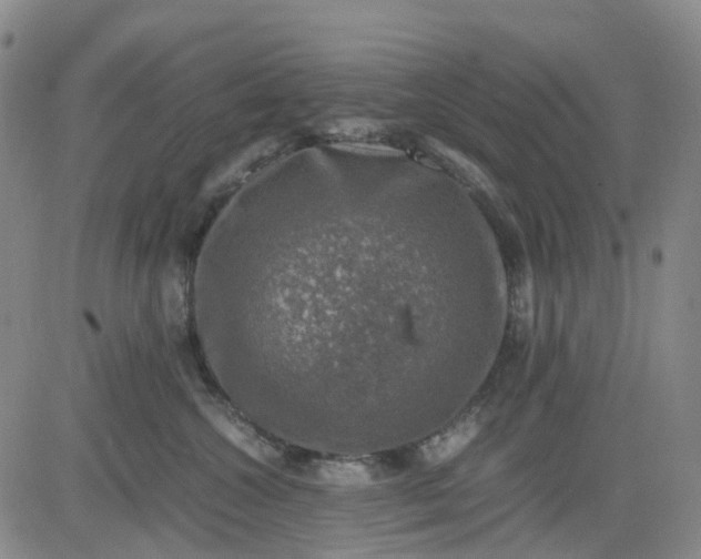 X0000083560572200702231607