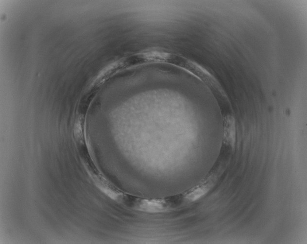 X0000083560573200702231607