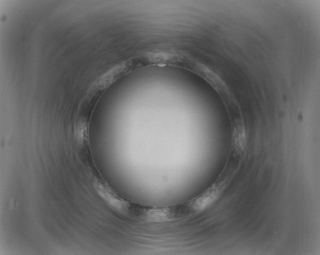 X0000083560574200702231607