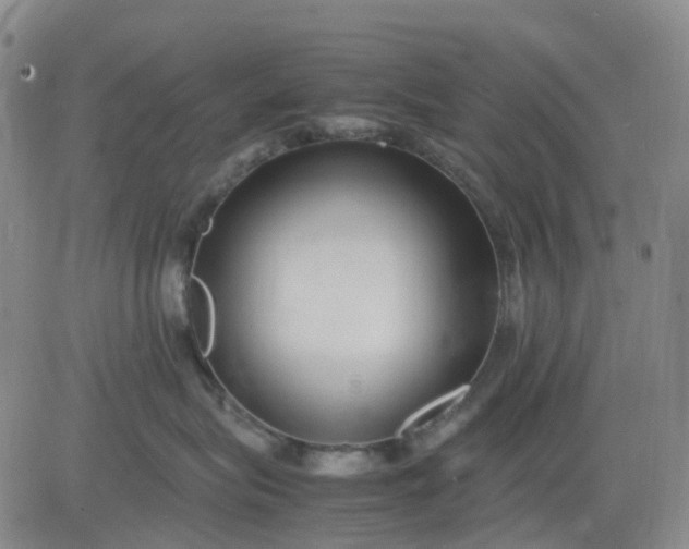 X0000083560575200702231607